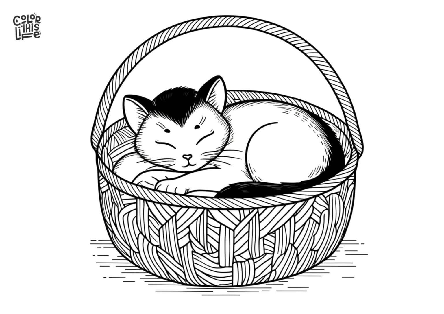 Realistic Cat Coloring Pages (Free Printable)