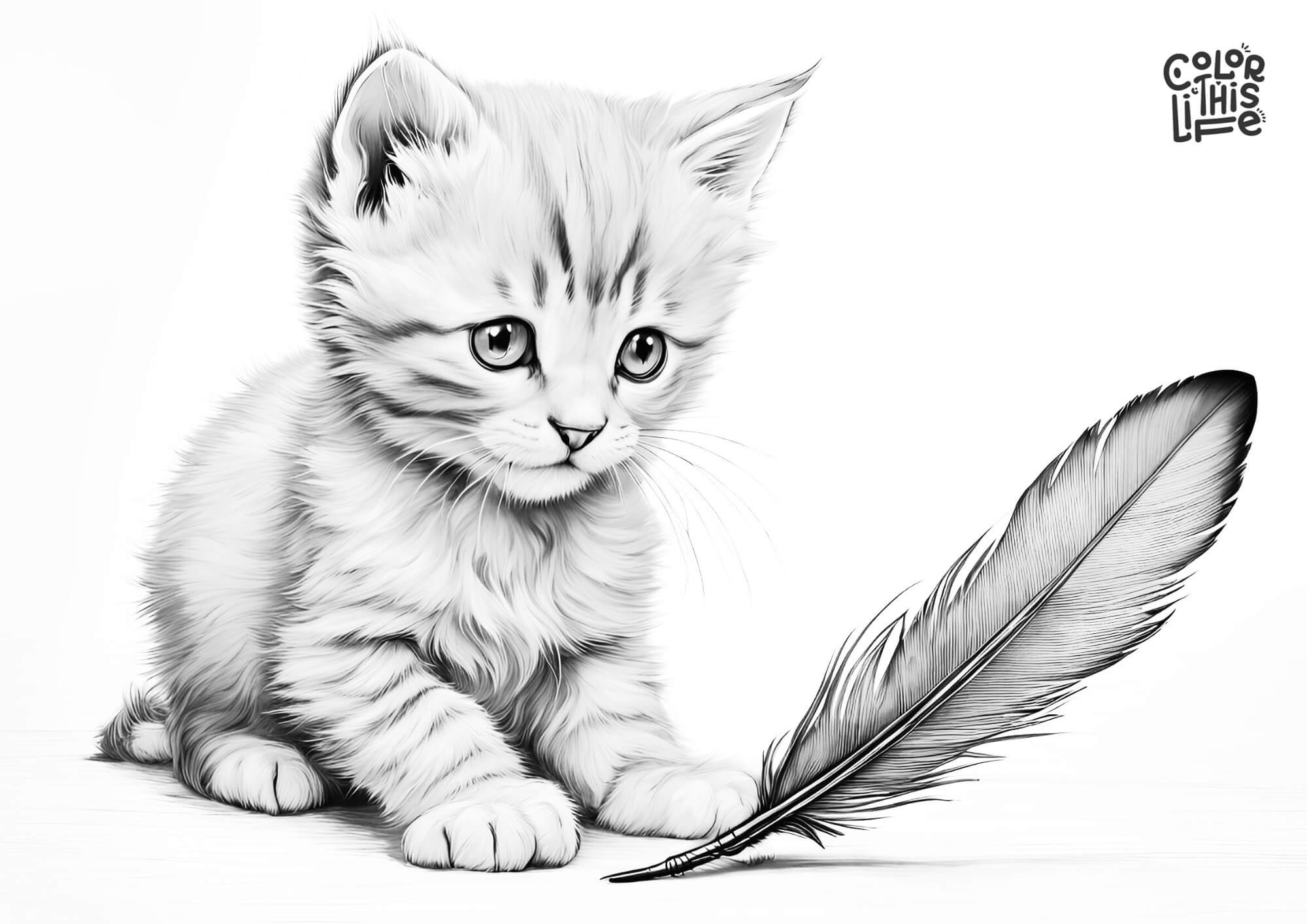 Realistic Kitten Coloring Pages (Free Printable)