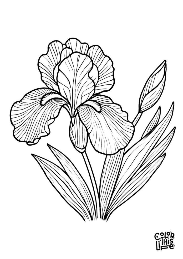 Flower Coloring Pages for Adults (Free Printable)