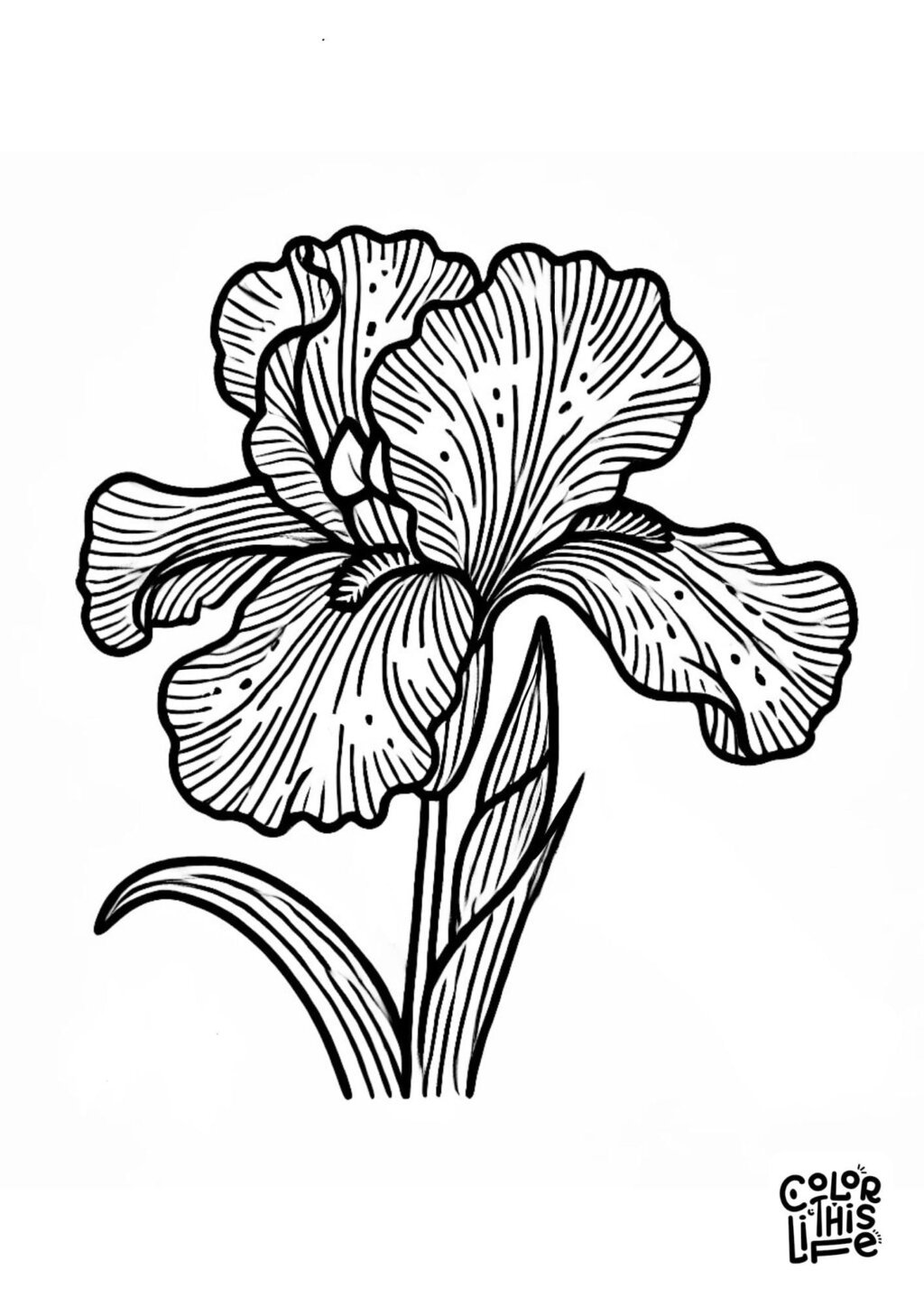 Flower Coloring Pages for Adults (Free Printable)
