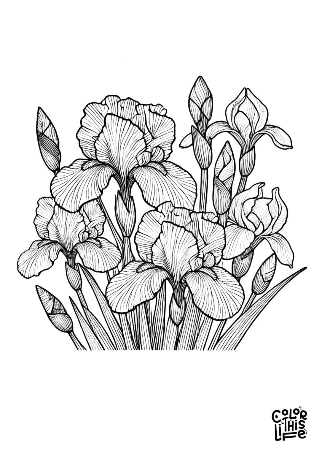 Flower Coloring Pages for Adults (Free Printable)