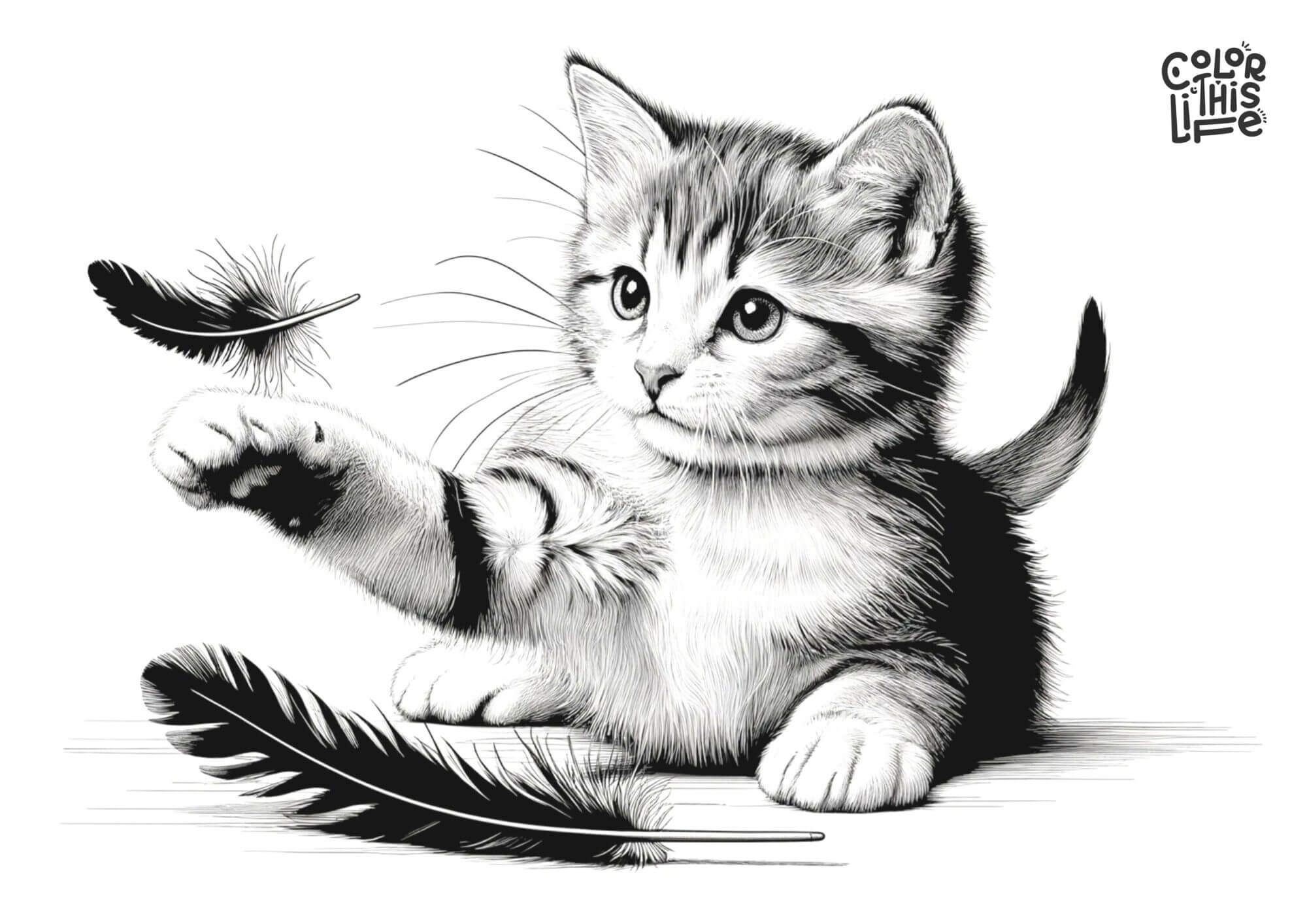 free-printable-cats-coloring-pages-color-this-life