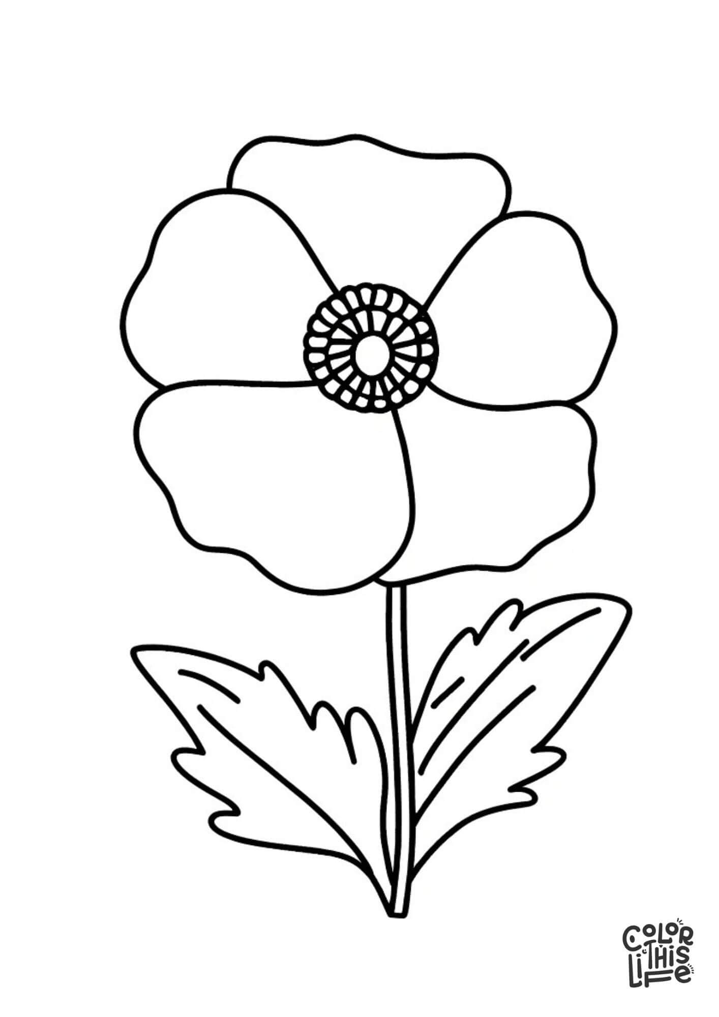 Simple poppy coloring sheet for kids - Color This Life