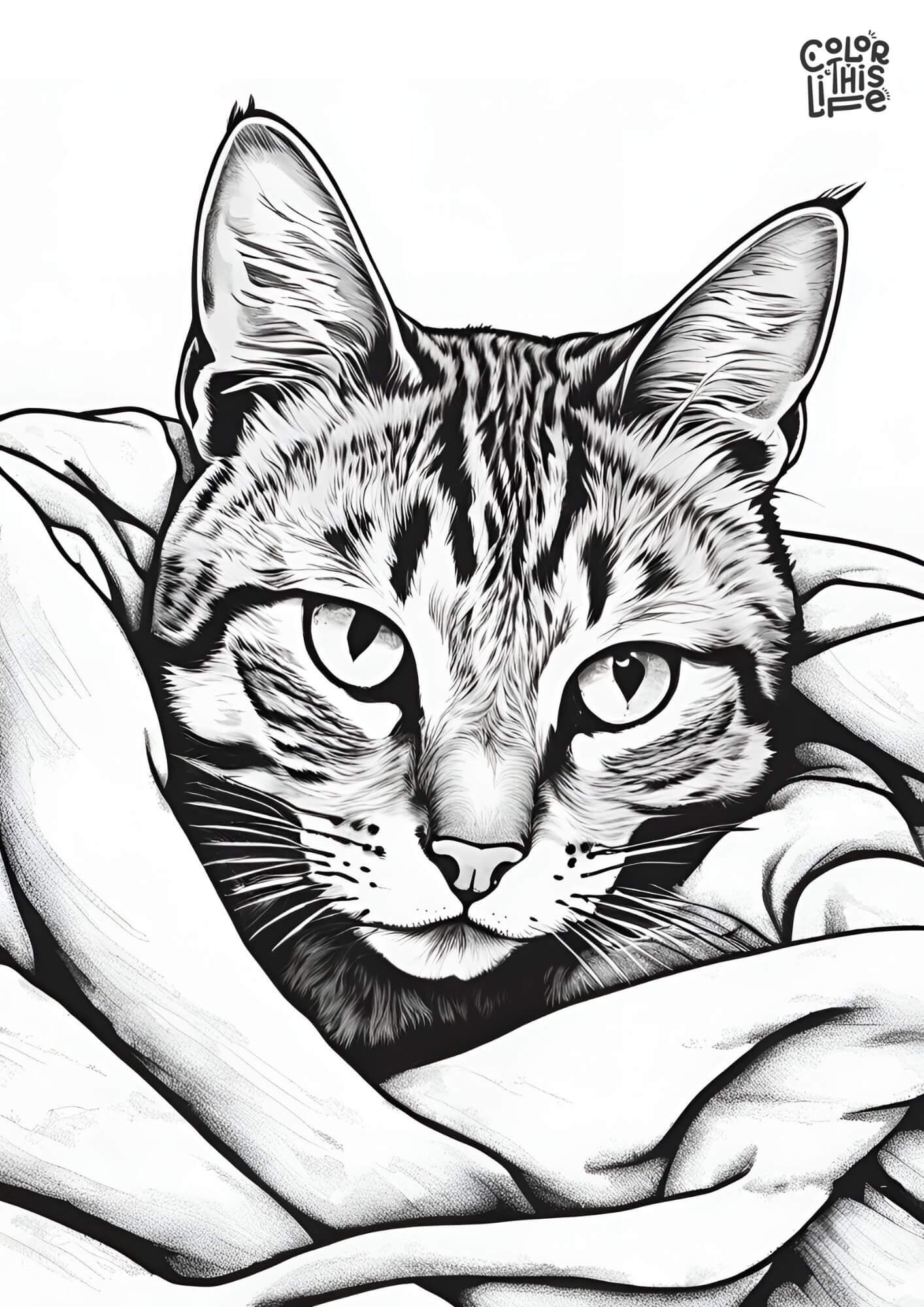 Realistic Cat Face Coloring Page 2025 Realistic Cat Face Coloring Page 2025