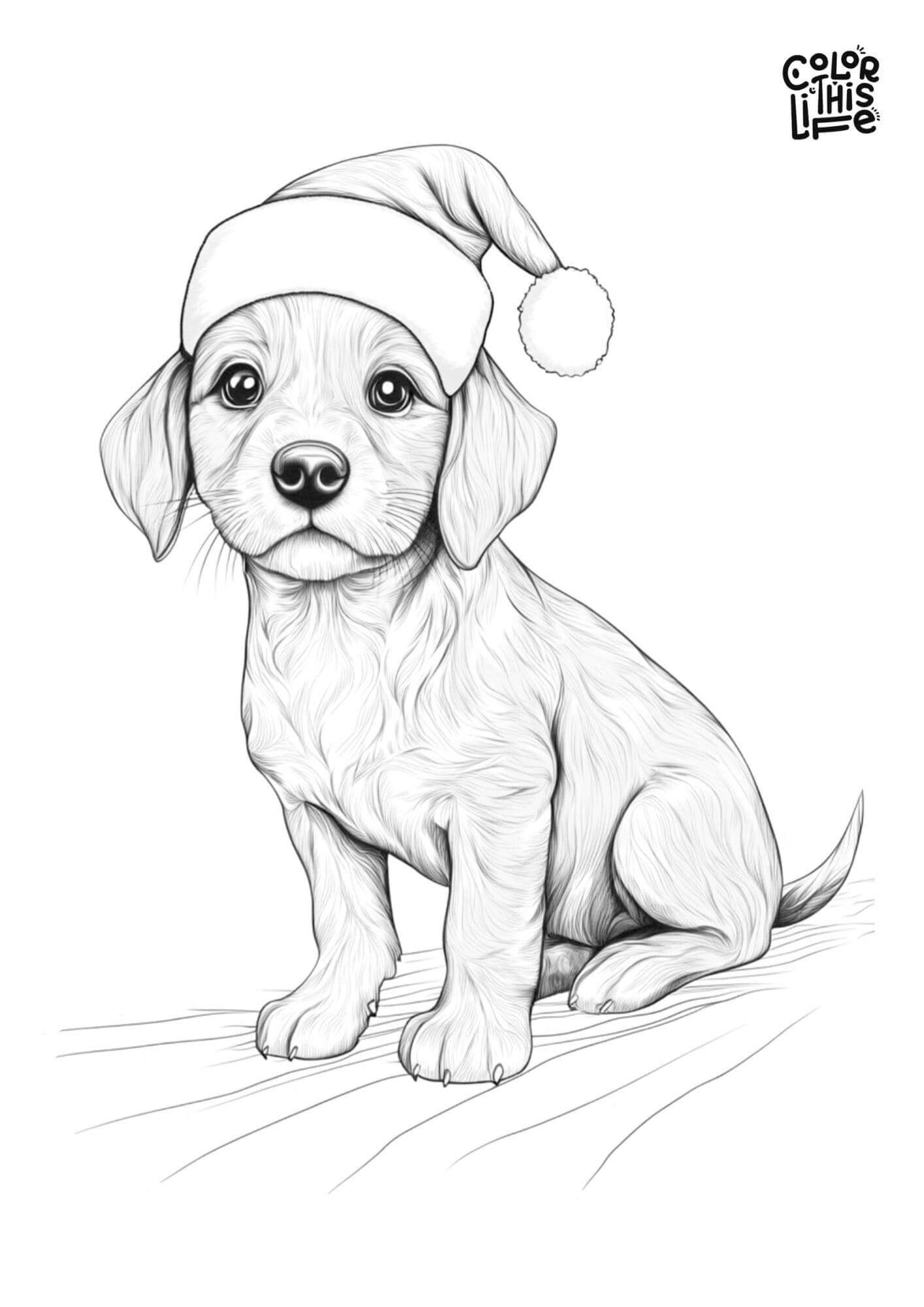 Realistic Santa Hat Labrador Puppy Coloring Page - Color This Life