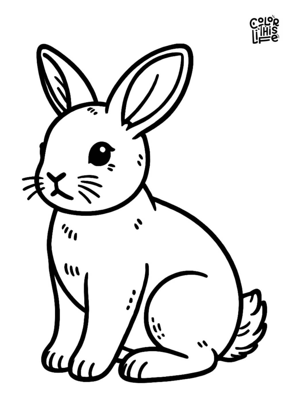 Simple realistic bunny rabbit coloring page - Color This Life