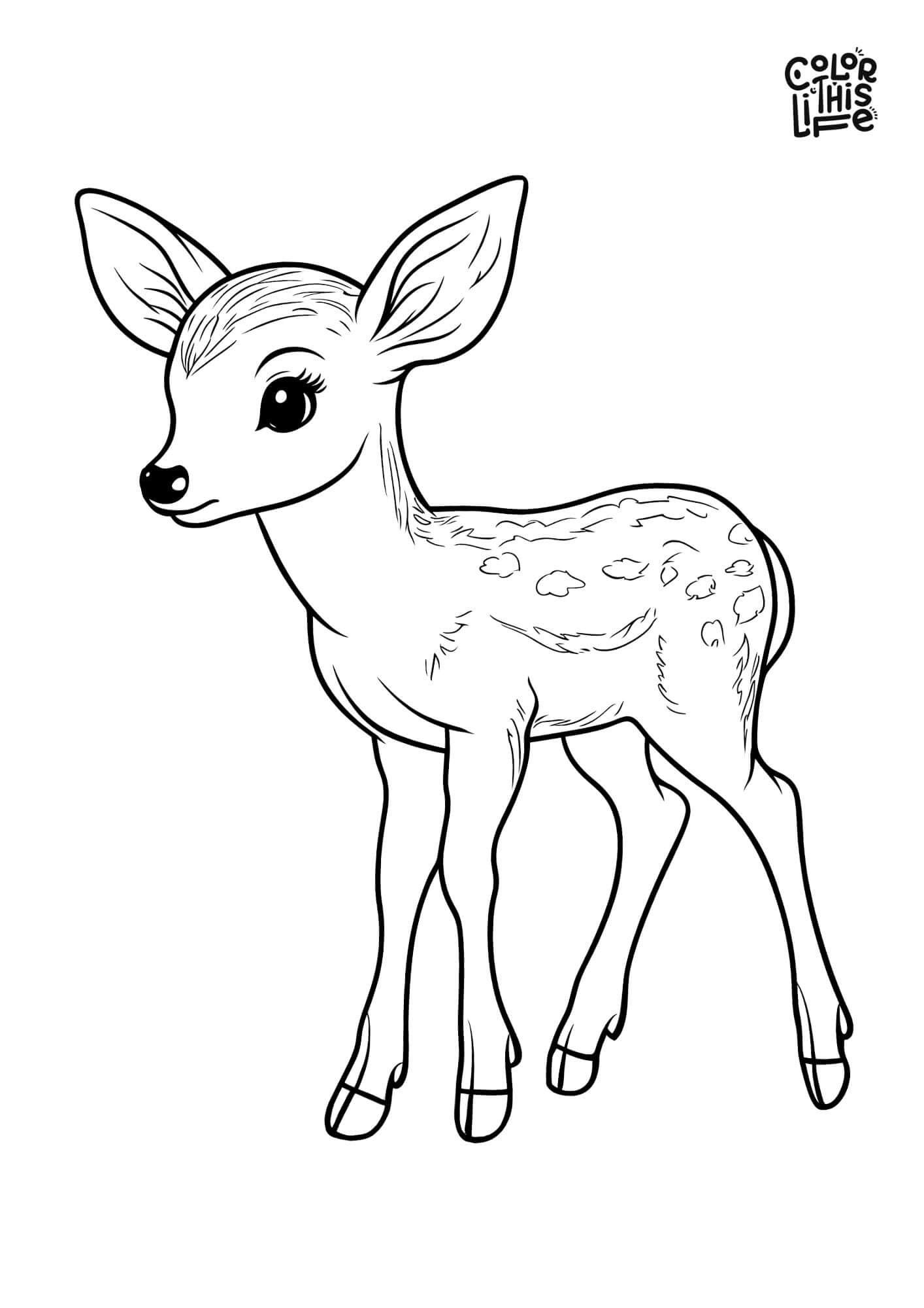 Simple butterfly and baby deer coloring page - Color This Life