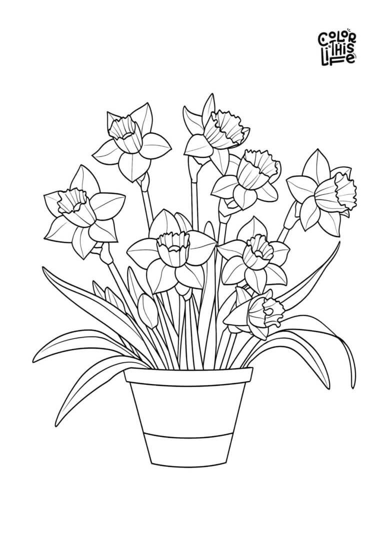 Realistic daffodils in pot coloring page - Color This Life