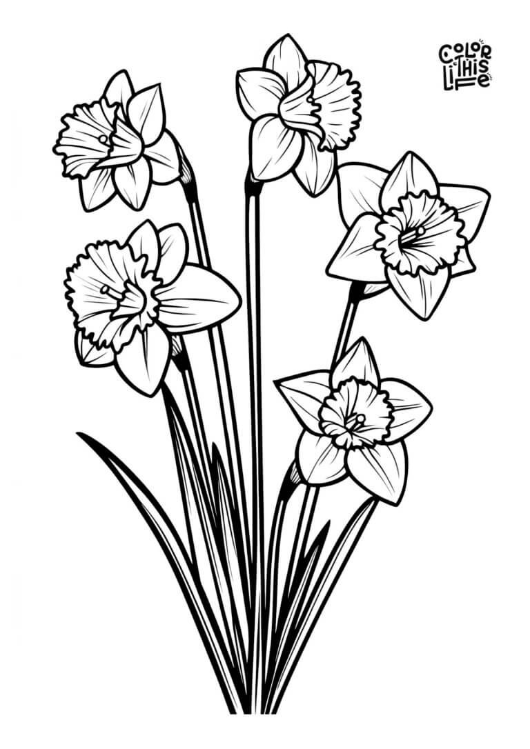 Free Printable Daffodil Coloring Pages - Color This Life
