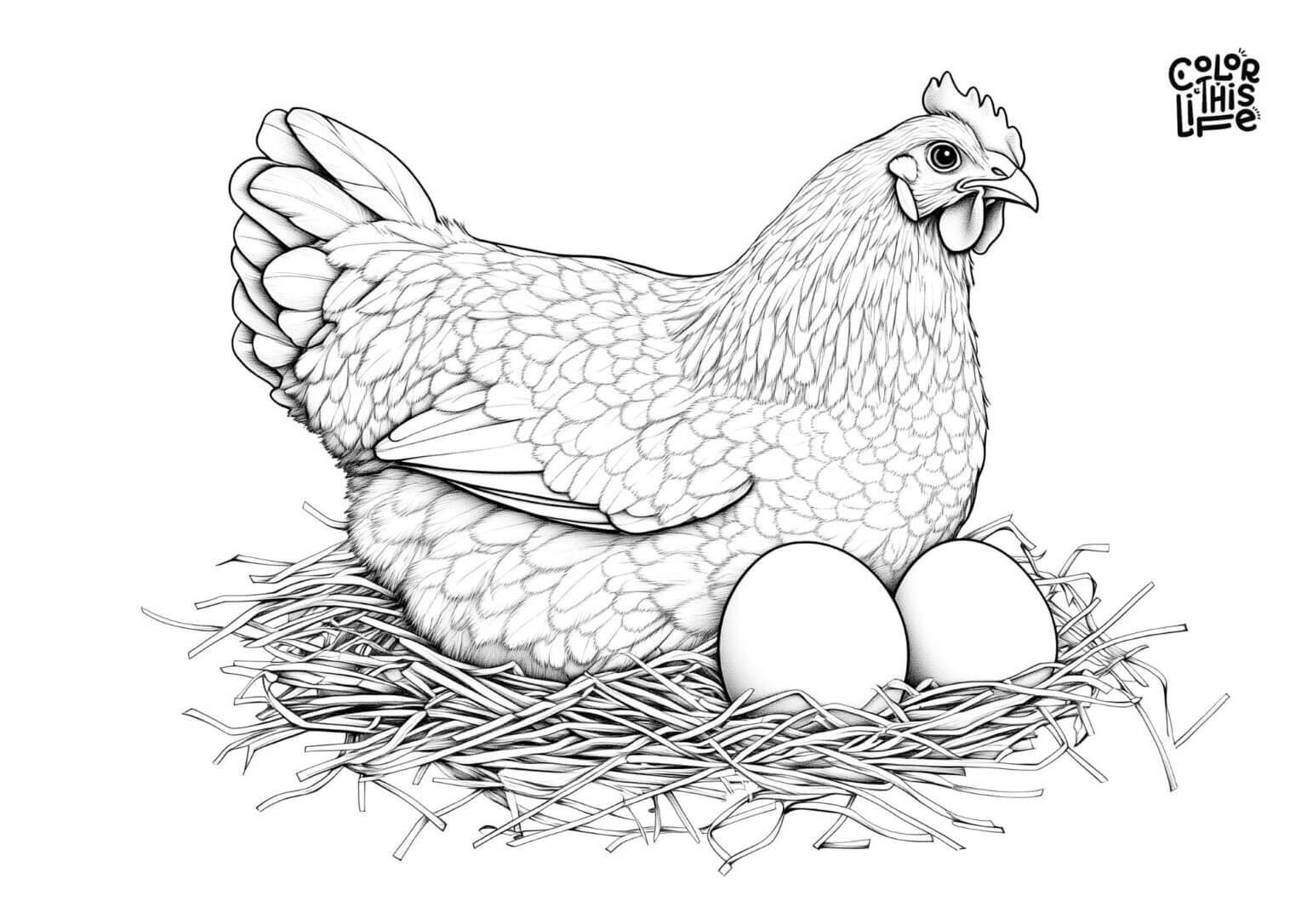 Detailed brooding hen coloring page - Color This Life