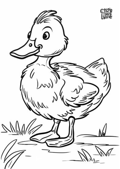 Cute fluffy duckling coloring page