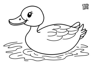 Easy duck on water coloring page