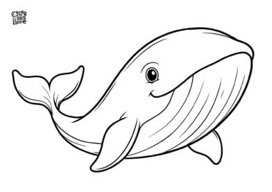 Blue whale coloring page free printable