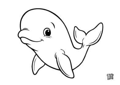 Cute beluga whale coloring picture for kids