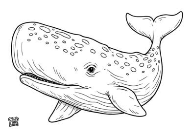 Detailed realistic sperm whale coloring page