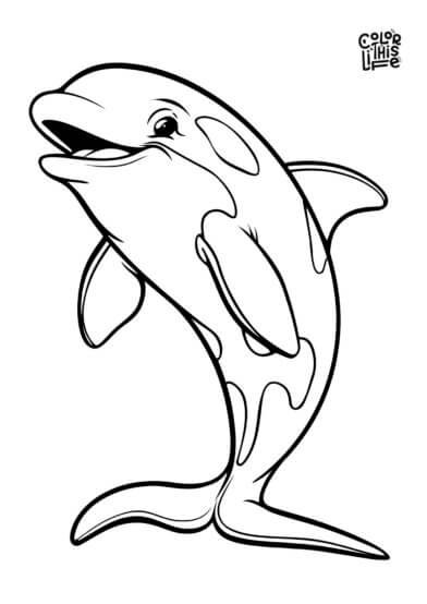 Friendly orca whale coloring page printable