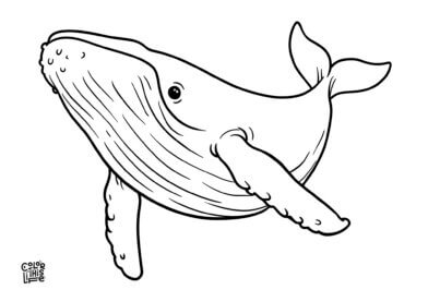 Realistic humpback whale coloring page