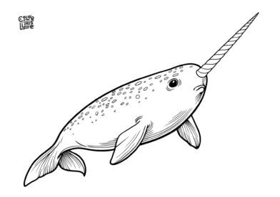 Realistic narwhal coloring page free printable