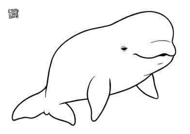 Simple realistic beluga whale coloring page