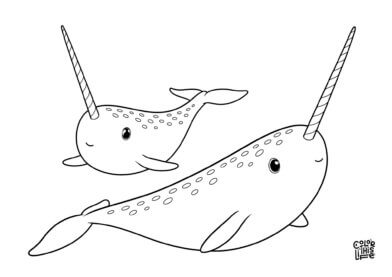 Two cute narwhals coloring page free printable